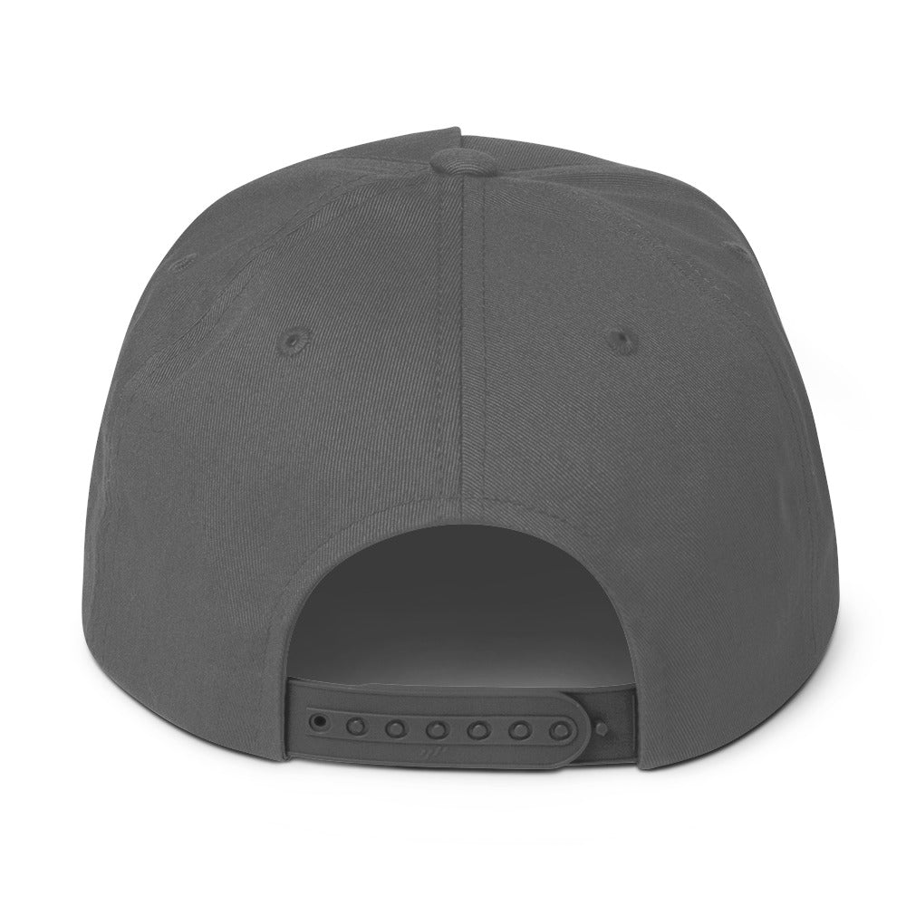 LBJ2 Flat Bill Cap